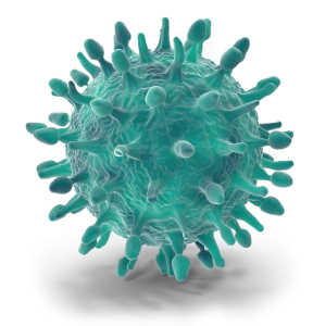 Новое исследование «Т-клеточный иммунитет к COVID-19»